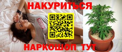 шишки Коммунар