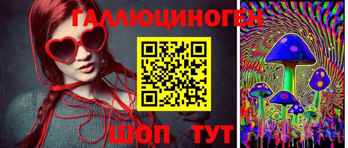 Псилоцибиновые грибы прущие грибы Куйбышев